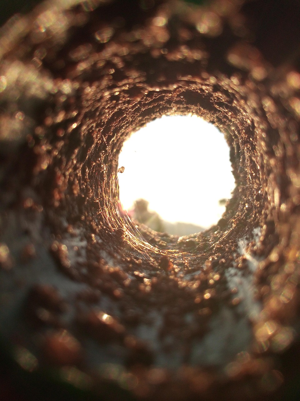 Decoding TRAPPIST-1e's Atmosphere: A Quest For Biosignatures Beyond Earth - Astronomy