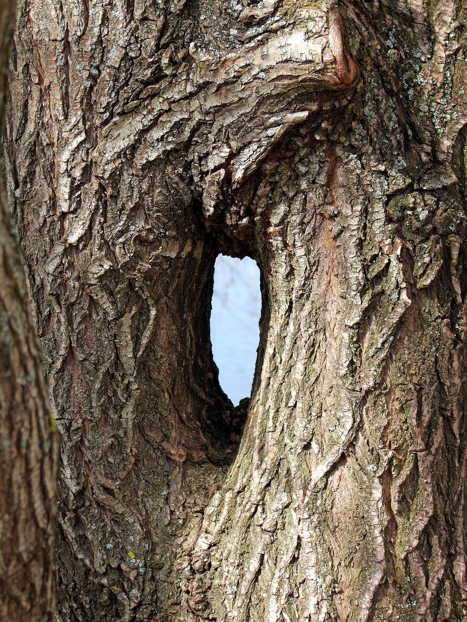 Echoes From The Abyss: Listening To Black Hole Mergers With LIGO's Gravitational Waves - Physics