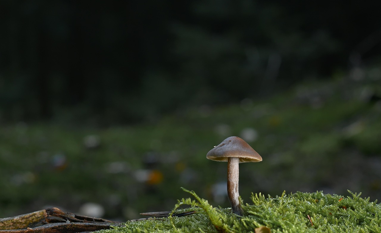 Synthetic Biology Breakthroughs: Engineering Microbes To Produce Sustainable Biofuels - Biology