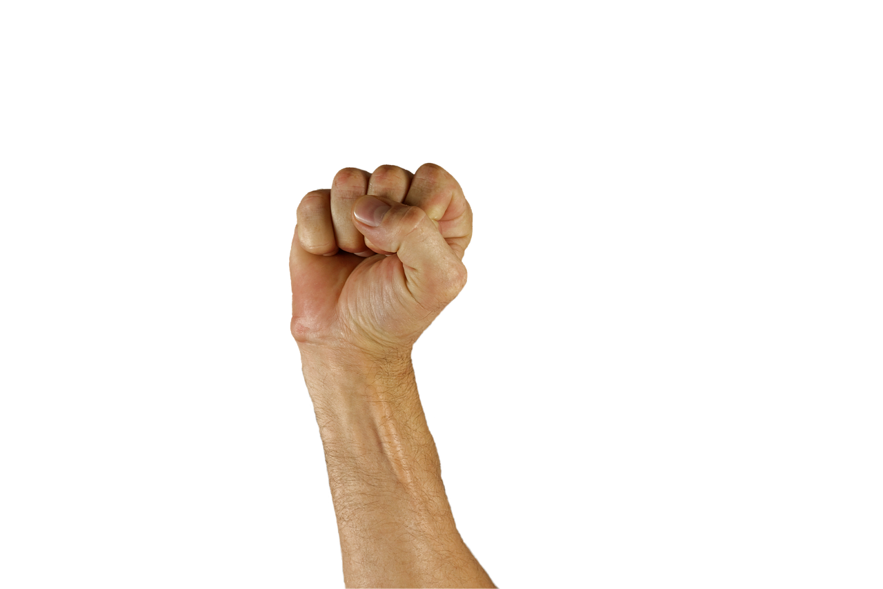 The Role Of Mirror Neurons In Human Language Acquisition - Human Science